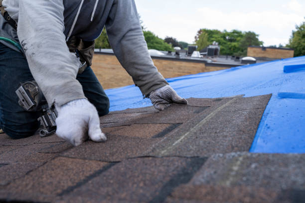 Best Roof Moss and Algae Removal  in Tipton, MO