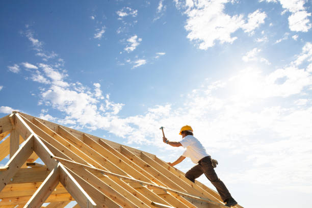 Best Roof Insulation Installation  in Tipton, MO